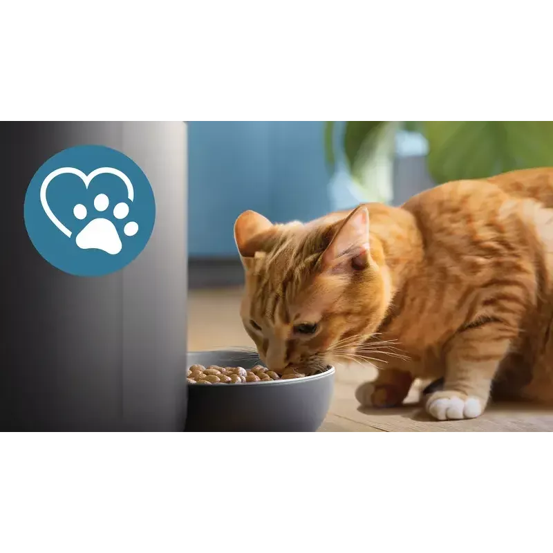 Automaatne lemmikloomasöötur Philips 5000 seeria PAW5320/02 kaameraga, 4,5 L toidu- ja veemahutavus, plastkorpus, siseruumides kasutamiseks