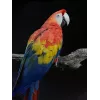 Nutitelefon Apple iPhone SE 4,7-tolline (11,9 cm) Dual SIM A15 5G 256 GB Must IP67