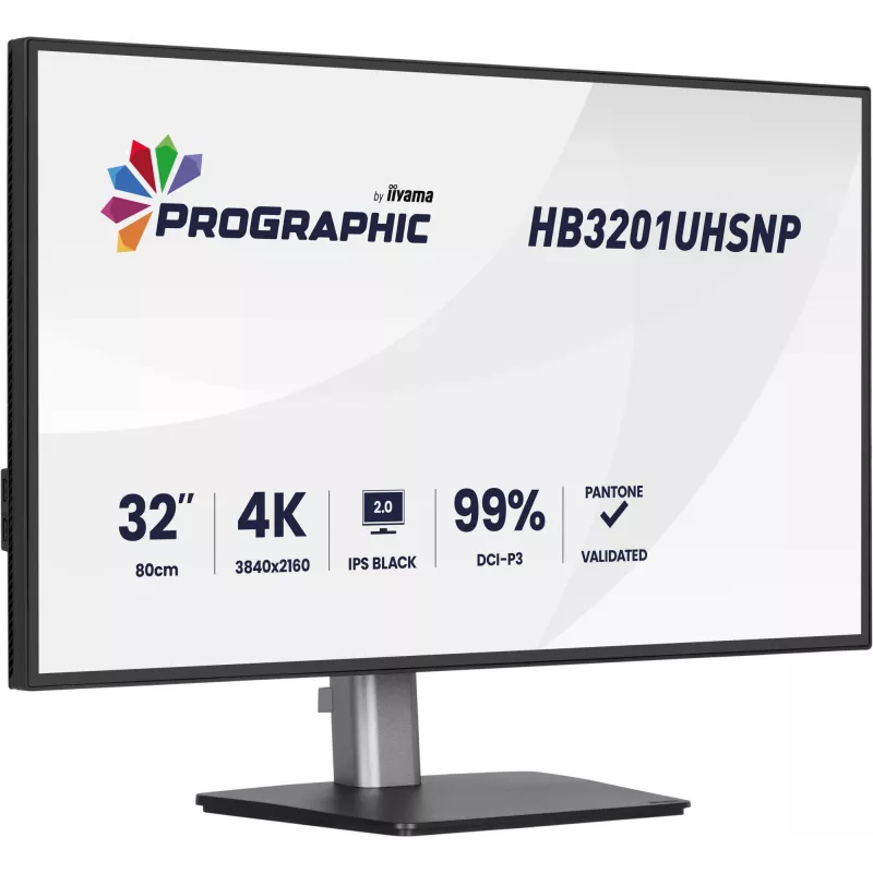 IIYAMA 32 tolli ProGraphic HB3201UHSNP-B1 4K UHD IPS LCD monitor USB-C ja DisplayPortiga