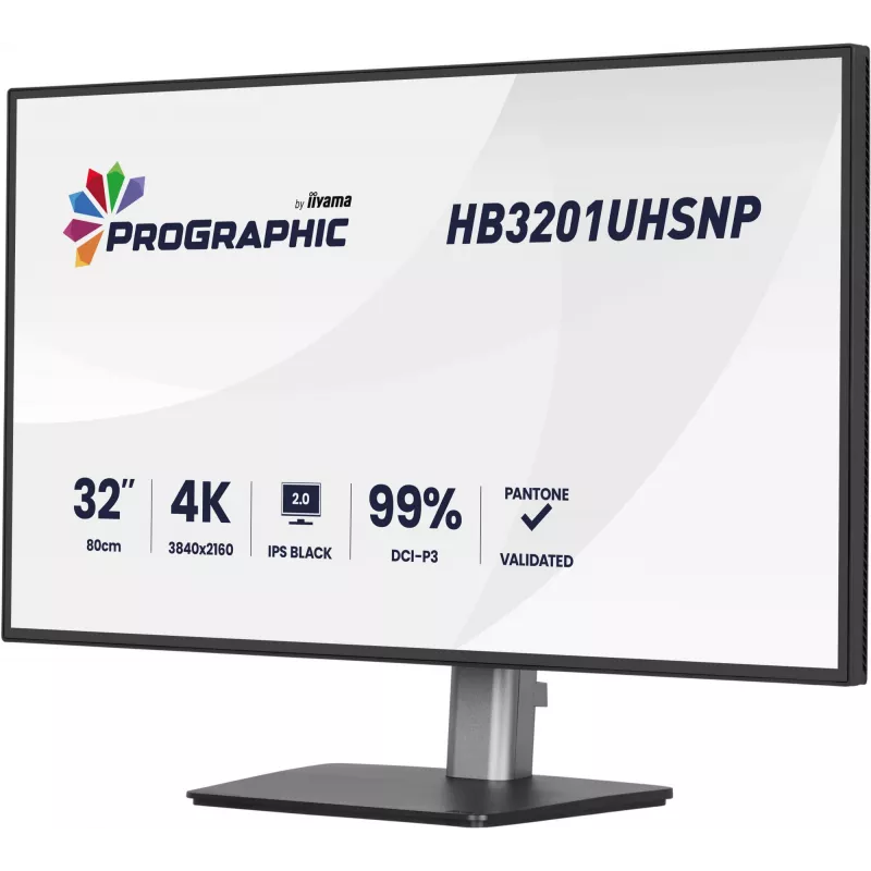 IIYAMA 32 tolli ProGraphic HB3201UHSNP-B1 4K UHD IPS LCD monitor USB-C ja DisplayPortiga