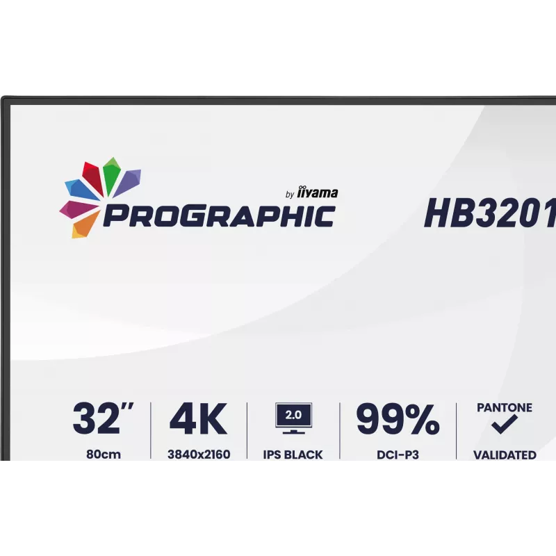 IIYAMA 32 tolli ProGraphic HB3201UHSNP-B1 4K UHD IPS LCD monitor USB-C ja DisplayPortiga