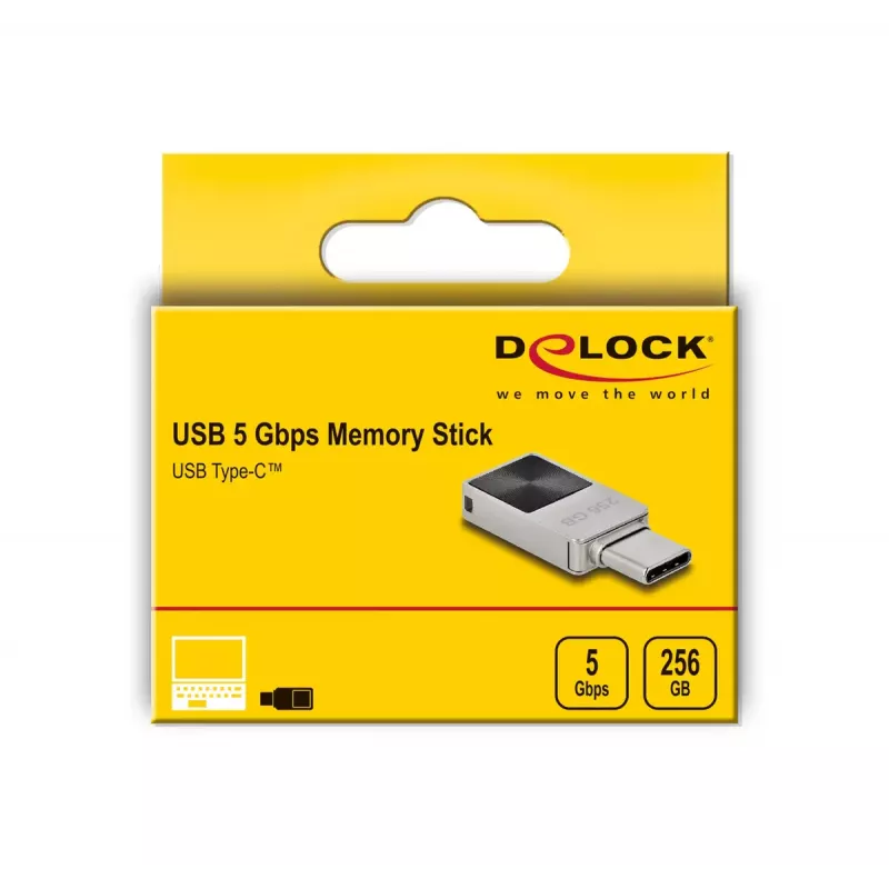 USB-mälupulk DeLOCK 256 GB USB-C 3.2 Gen 1 metallkorpusega