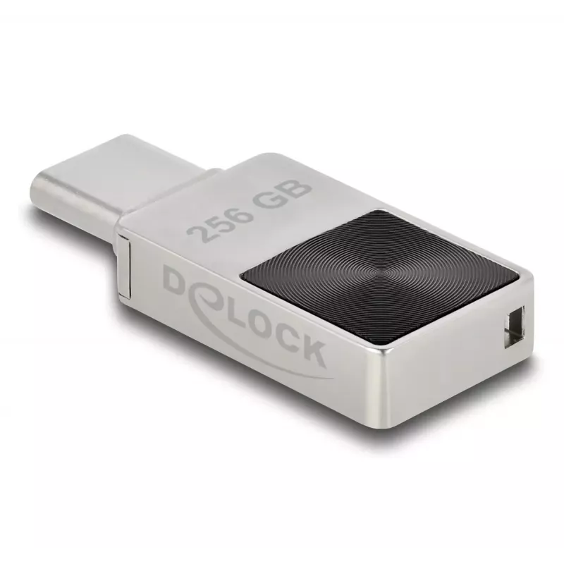 USB-mälupulk DeLOCK 256 GB USB-C 3.2 Gen 1 metallkorpusega
