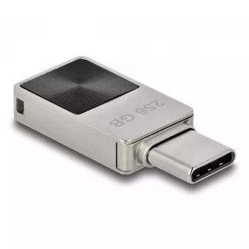 USB-mälupulk DeLOCK 256 GB USB-C 3.2 Gen 1 metallkorpusega