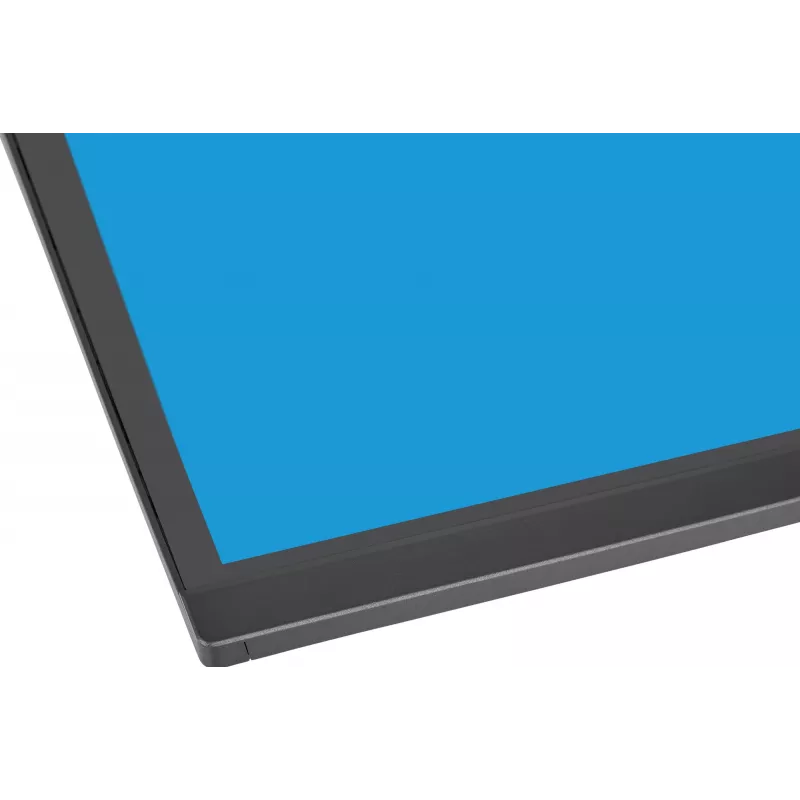 Arvutimonitor IIYAMA XCB4594DQSU-B1 44 tolli (111,8 cm) kumer Dual QHD 5120×1440 VA LED, 2 ms, USB-C, USB 3.2, VESA, kõlarid
