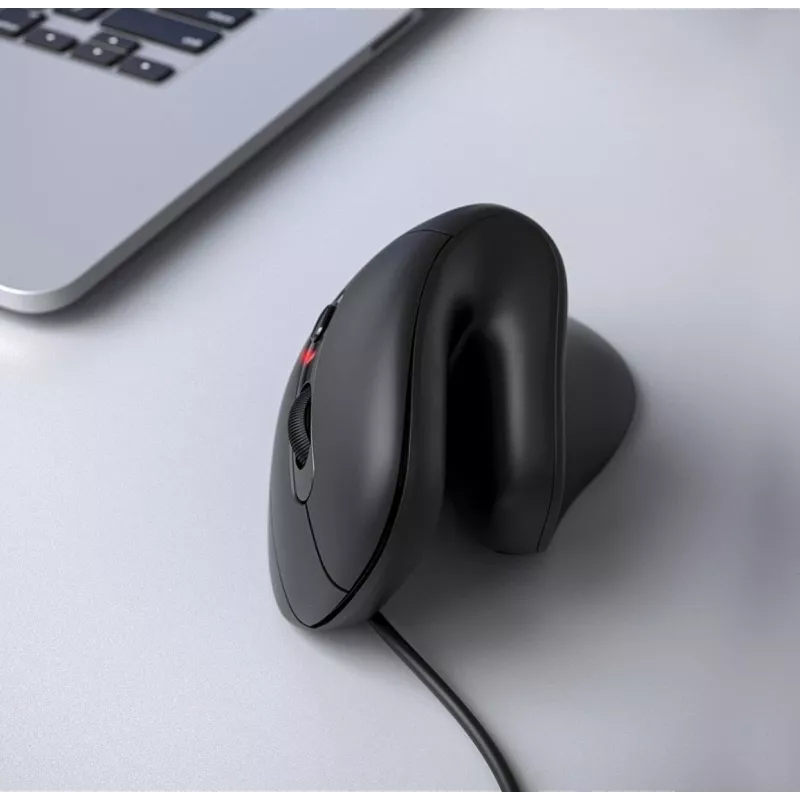Equip 245119 hiir Universaalne Paremakäeline USB Type-A + USB USB-C Optiline 7200 DPI