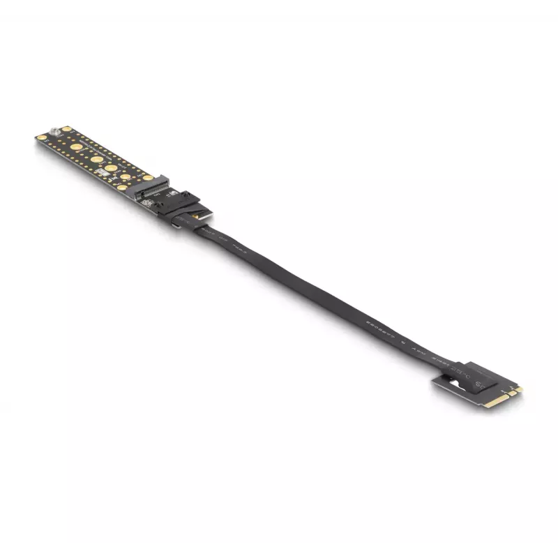 DeLOCK Riser Card NVMe M.2 Key A+E isane Key M pesa küljes, 20 cm kaabel