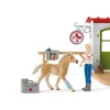 Veterinaarpraksis loomadega Schleich 42502