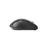 Hiir Rapoo M500 Silent Paremakäeline RF-juhtmevaba Bluetooth-optiline