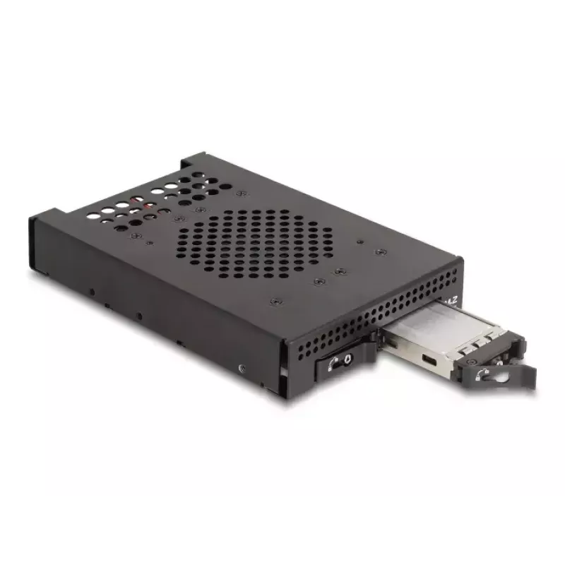 Kõvakettapuur DeLOCK 47070 Rack Ühilduv Metal 100mm Width