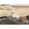 Schleich Galloway lehm 13960 must-valge soovitatav vanus 3+