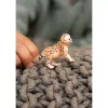 Figuur Schleich WILD LIFE Cheetah Baby mudel 14866, pruun, alates 3. eluaastast
