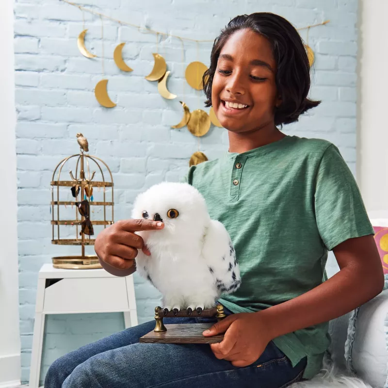 Wizarding World Harry Potter, lummav Hedwig interaktiivne öökull enam kui 15 hääle ja liigutusega ning Sigatüüka ümbrik, mänguasjad lastele alates 5. eluaastast