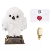 Wizarding World Harry Potter, lummav Hedwig interaktiivne öökull enam kui 15 hääle ja liigutusega ning Sigatüüka ümbrik, mänguasjad lastele alates 5. eluaastast