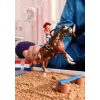 schleich HORSE CLUB Hannah' lääneseiklused, 5-aastastele, Hobused, Mitmevärviline, Plastist