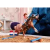 schleich HORSE CLUB Hannah' lääneseiklused, 5-aastastele, Hobused, Mitmevärviline, Plastist