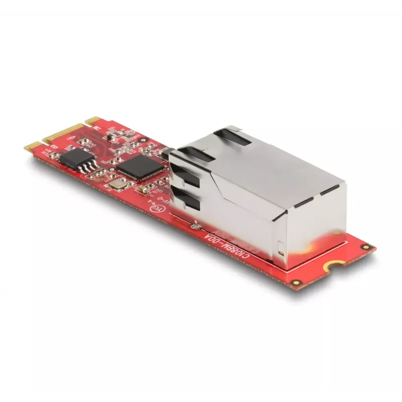 DeLOCK muundur M.2 Key B+M isane RJ45-le 2.5 Gigabit LAN port