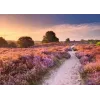 Pusle Ravensburger Pink Pathway Netherlands, 1000 tükki, 700×? mm, 2 mm paks