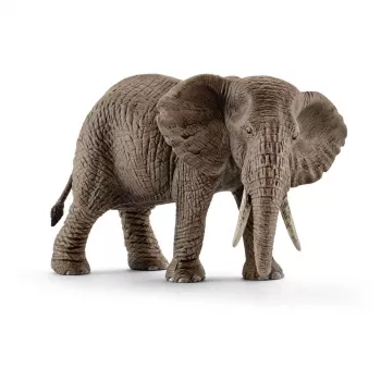 schleich WILD LIFE Aafrika elevant, emane, 3 a, Safari, Metsloomad / seiklusmänguasjad, Mitmevärviline, Plast, 1 tk