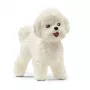 schleich Bichon Frise, 3 a, Koerad, Taluloomad / talumänguasjad, Valge, Plastik