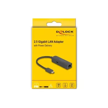 DeLOCK USB USB-C adapter 2.5-gigabitine LAN toiteedastus 100 W