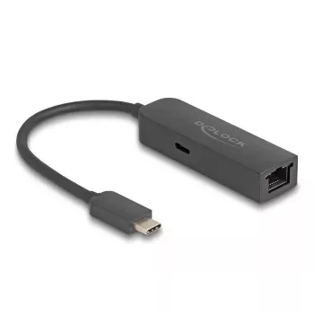 DeLOCK USB USB-C adapter 2.5-gigabitine LAN toiteedastus 100 W