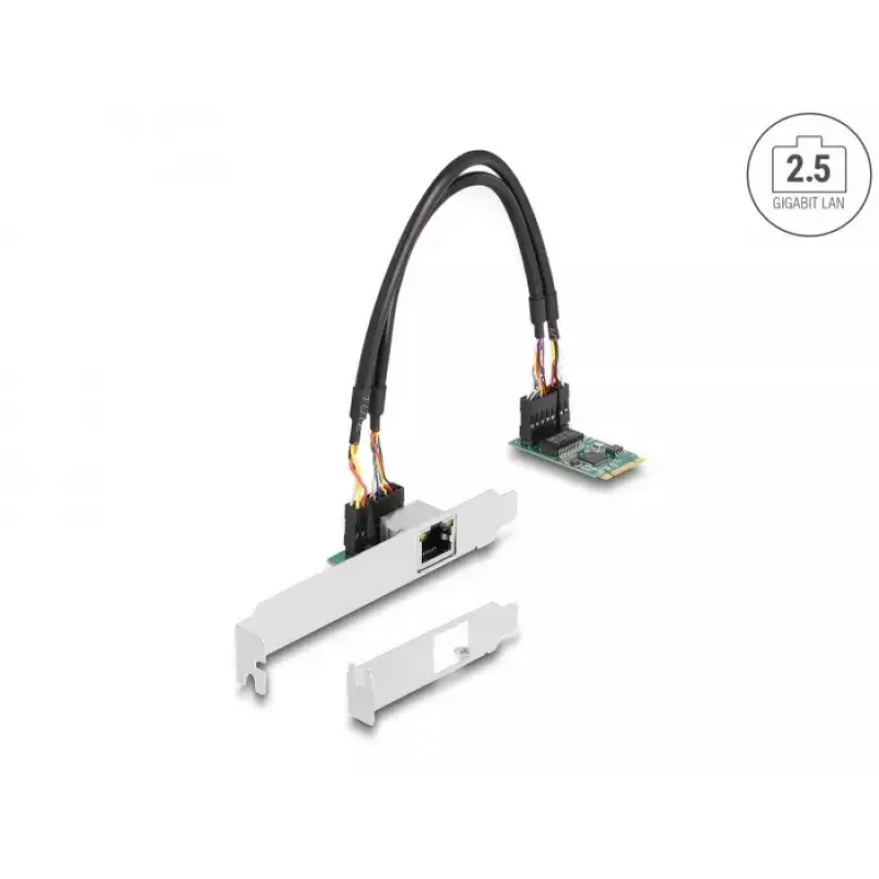 DeLOCK 95272 sisemine võrgukaart 2500 Mbit/s juhtmega M.2 Ethernet