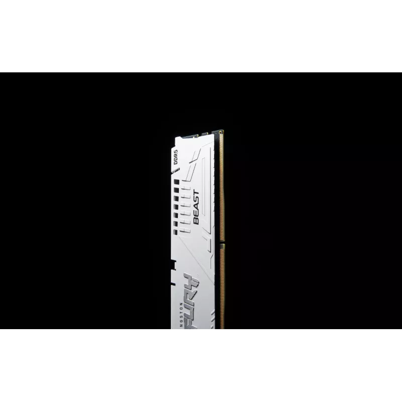 Kingston Technology FURY Beast 16GB 5600MT/s DDR5 CL36 DIMM Valge EXPO