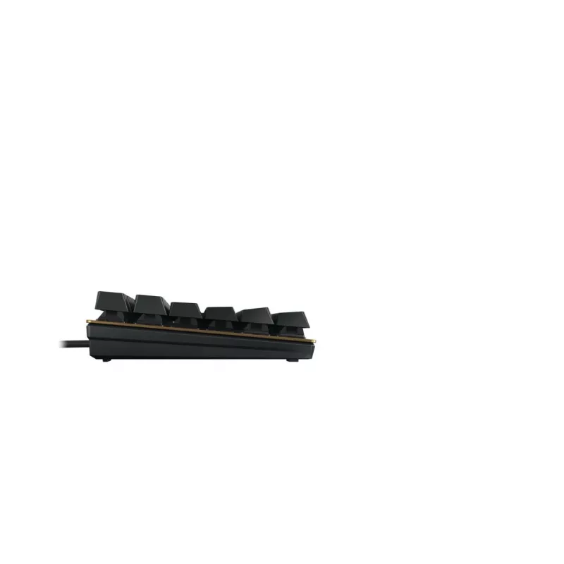 Mehaaniline klaviatuur Cherry KC 200 MX USB QWERTY 108 klahvi must pronks
