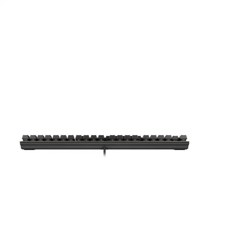 Mehaaniline klaviatuur Cherry KC 200 MX USB QWERTY 108 klahvi must pronks