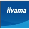 27-tolline IIYAMA ProLite XB2797QSU-W1 IPS Quad HD (2560x1440) LED-kuvar, 178° vaatenurk, USB 3.2 jaotur, kõlarid, VESA, kõrguse reguleerimine, valge