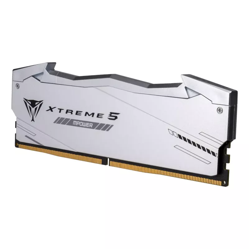 Patriot Viper Gaming RGB XTREME 5 DDR5-6000 RAM, CL 30, Intel XMP 3.0 - 48GB Dual-Kit, silber