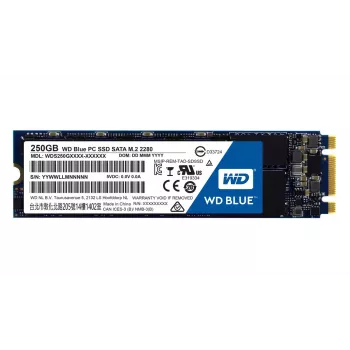 SSD-ketas Western Digital 250GB 2,5-tolline SATA3 WDS250G1B0B