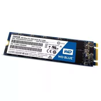 SSD-ketas Western Digital 250GB 2,5-tolline SATA3 WDS250G1B0B