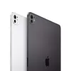 Tahvelarvuti Apple iPad 11-tolline Pro 11 tolli M4 16 GB 1 TB iPadOS MWRP3HC/A