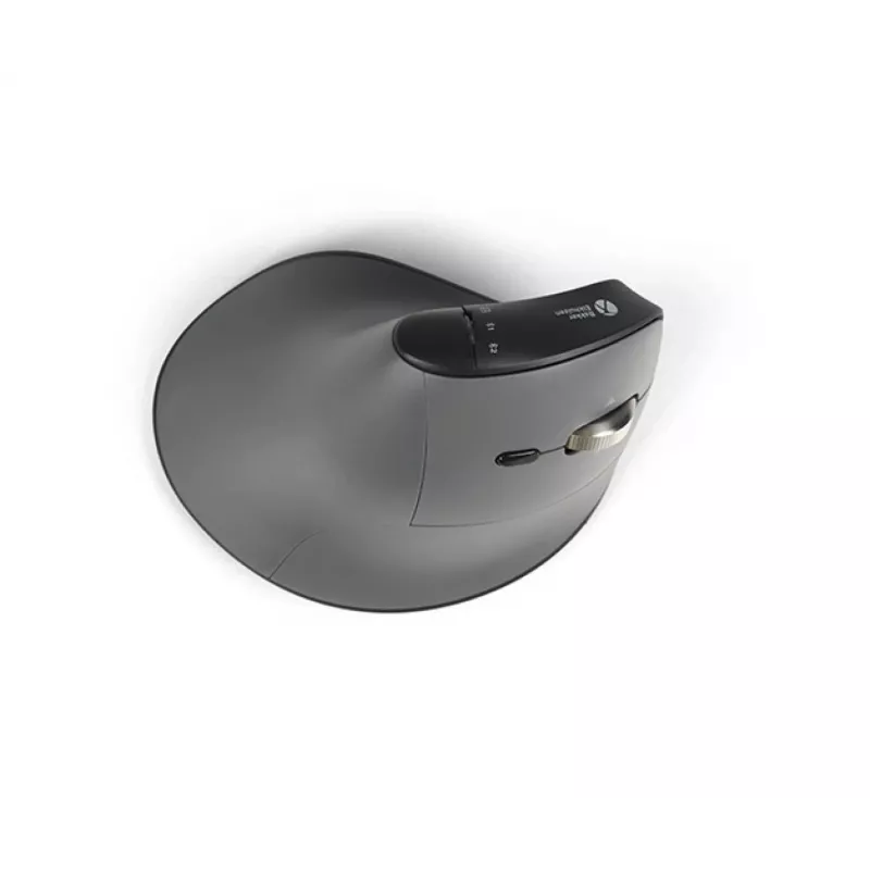 BakkerElkhuizen FastForward Pro hiir, paremakäeline, vertikaalne disain, optiline, RF juhtmevaba + Bluetooth + USB USB-C, 5000 DPI, must, hall