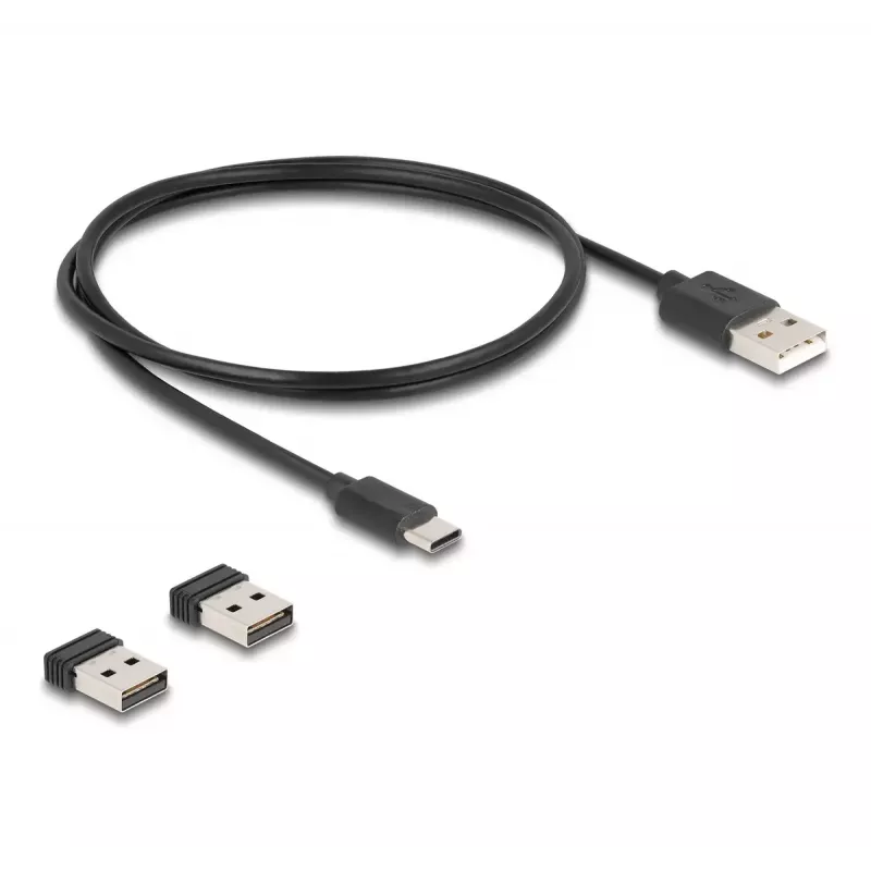Kantav vöötkoodiskanner DeLOCK 90610 1D 2D juhtmevaba Bluetooth