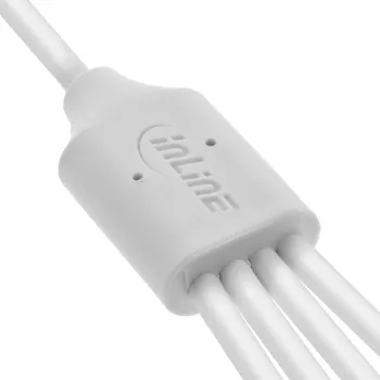 InLine 35142W USB-kaabel USB 2.0 2 m USB A 4 x USB-C Valge