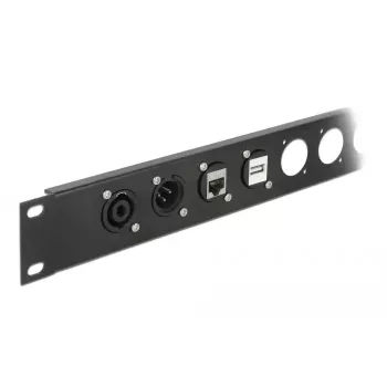 Kaabli üleminekuadapter DeLOCK 86784