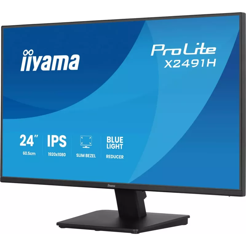 Arvutimonitor IIYAMA ProLite X2491H-B1 23,8 tolli (60,5 cm) IPS LCD Full HD 1920×1080 Matt Must, VESA