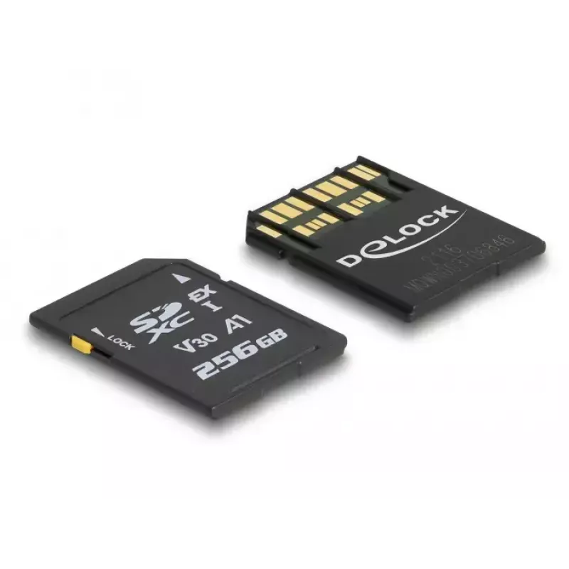 Mälukaart DeLOCK 256 GB SD UHS-I 54091