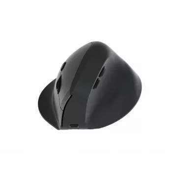 EQUIP ergonoomiline paremakäeline vertikaalne juhtmevaba hiir 1600 DPI, RF juhtmevaba + Bluetooth, taaslaetav, 6 nuppu, must