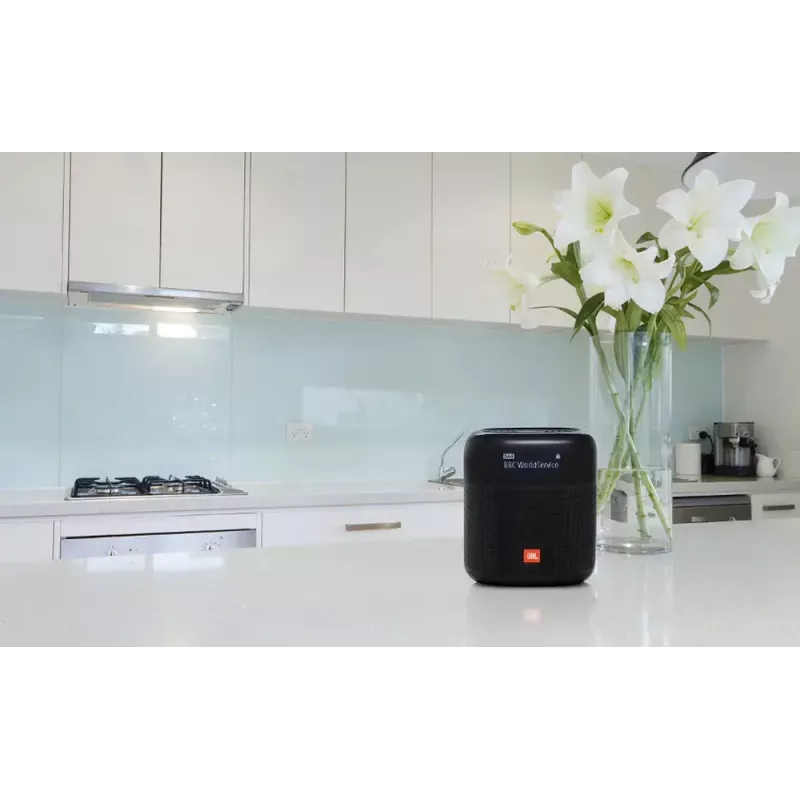 Kaasaskantav raadio JBL Tuner XL Must digitaalne DAB 10W