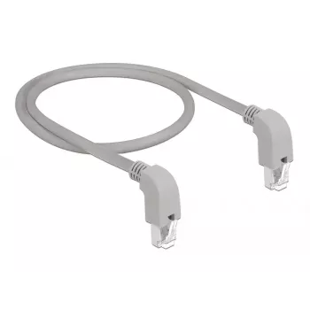 Võrgukaabel DeLOCK 85860 Hall 2 m Cat5e SF/UTP