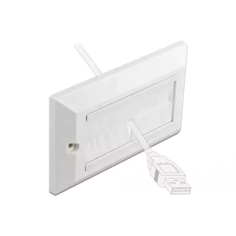 Seinaplaat DeLOCK 66496 valge