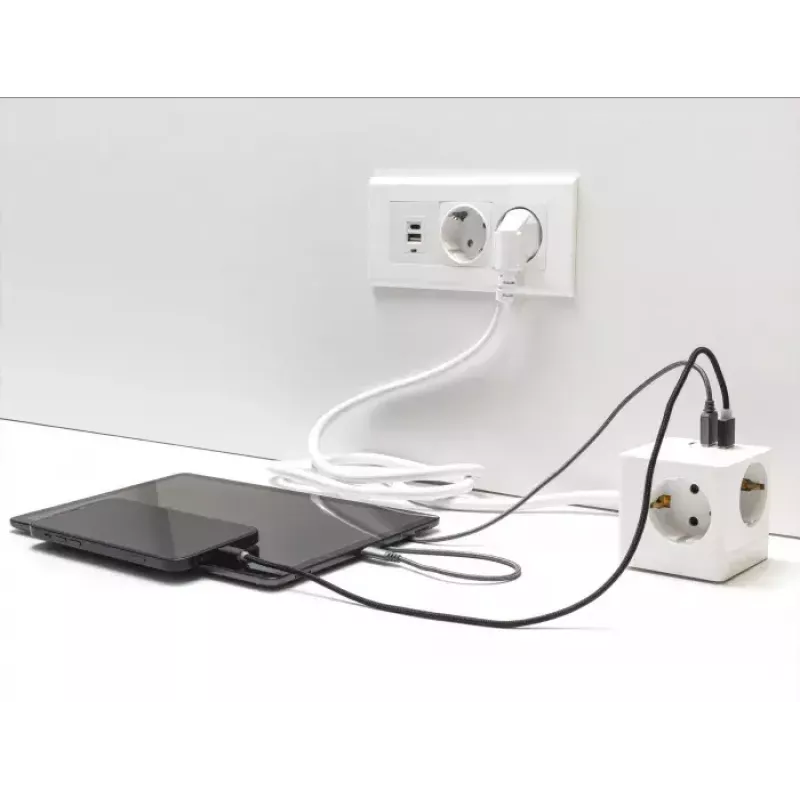 DeLOCK 11497 pistikupesa CEE 7/3 + USB valge 250V 16A
