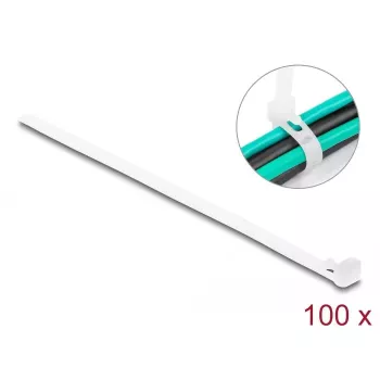 Takja- ja aaskinnitusega kaabliside DeLOCK 18643 L 150 x L 7,2 mm 100 tk valge