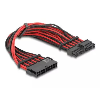 DeLOCK 80973 sisemine toitekaabel 0,3 m ATX 24-kontaktiline