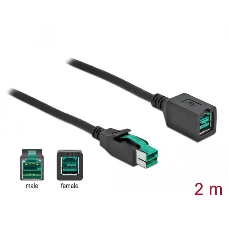 DeLOCK 85981 toitega USB-pikenduskaabel 12 V 2 m