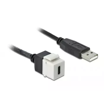 Keystone Moodul DeLOCK 86382 Lame Must Valge USB C